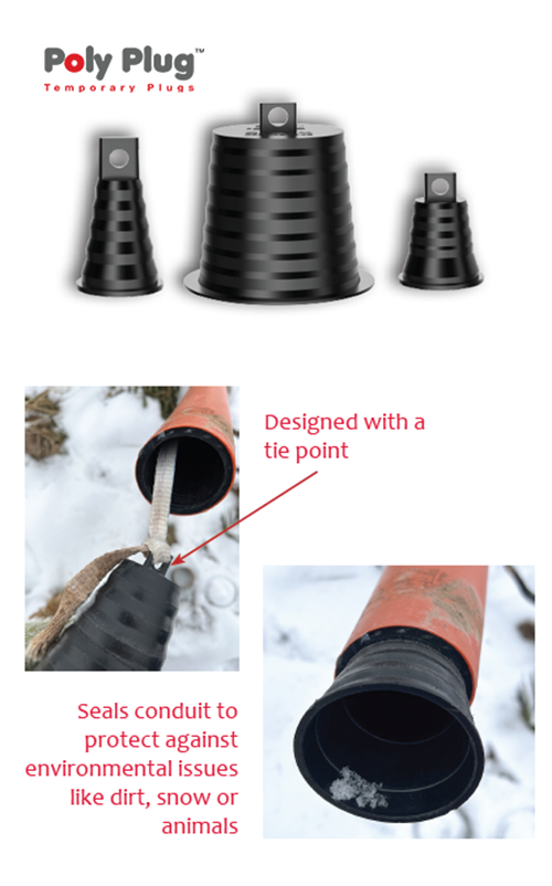 poly plug sample for landing page